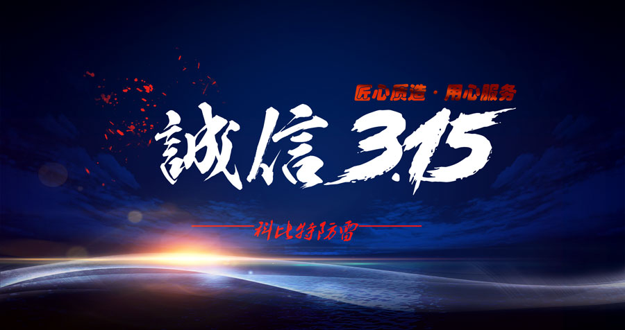 匠心质造、用心服务，九游网页版登录入口_九游（中国）防雷天天315